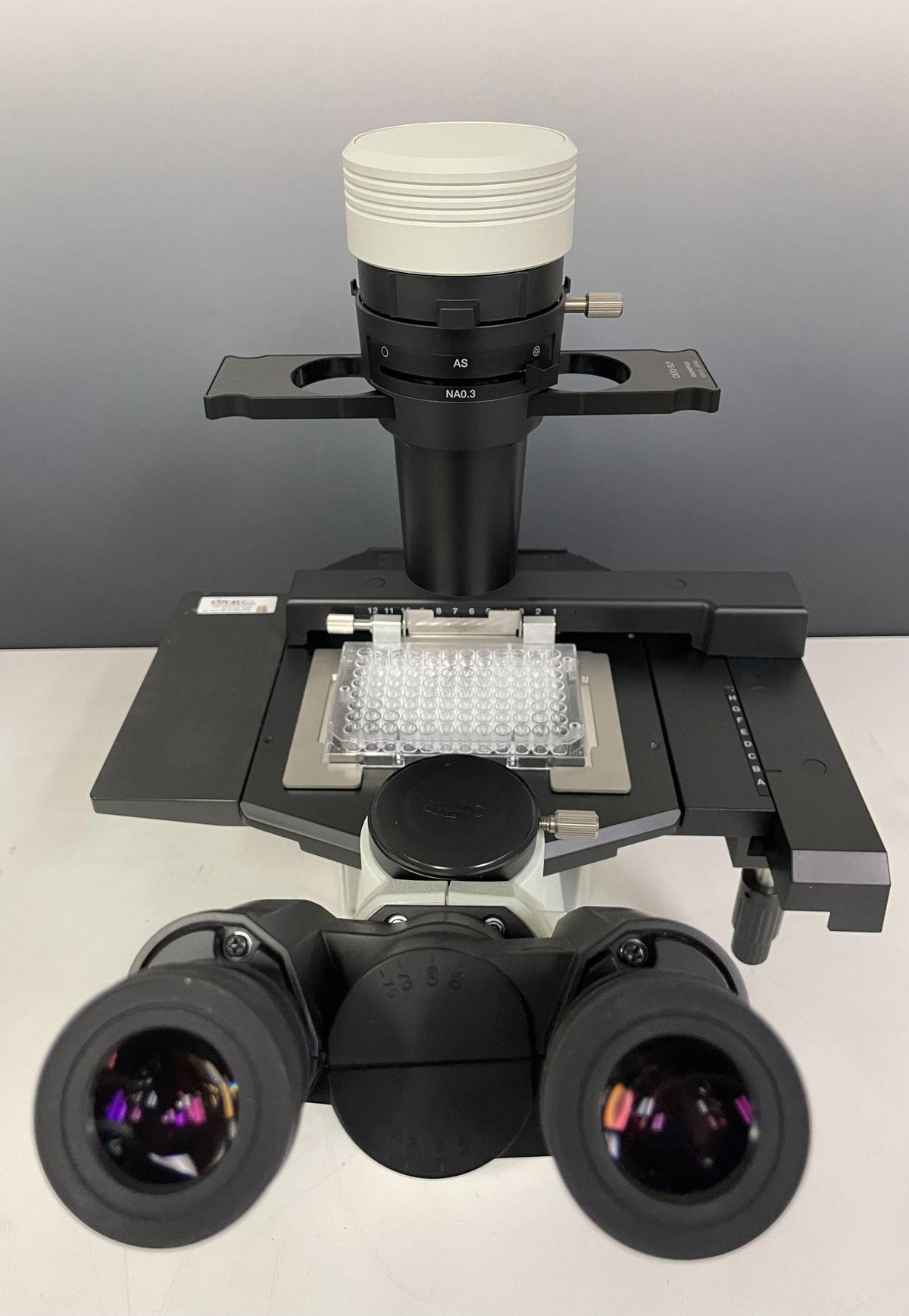 Olympus Inverted Phase Contrast Microscope CKX53