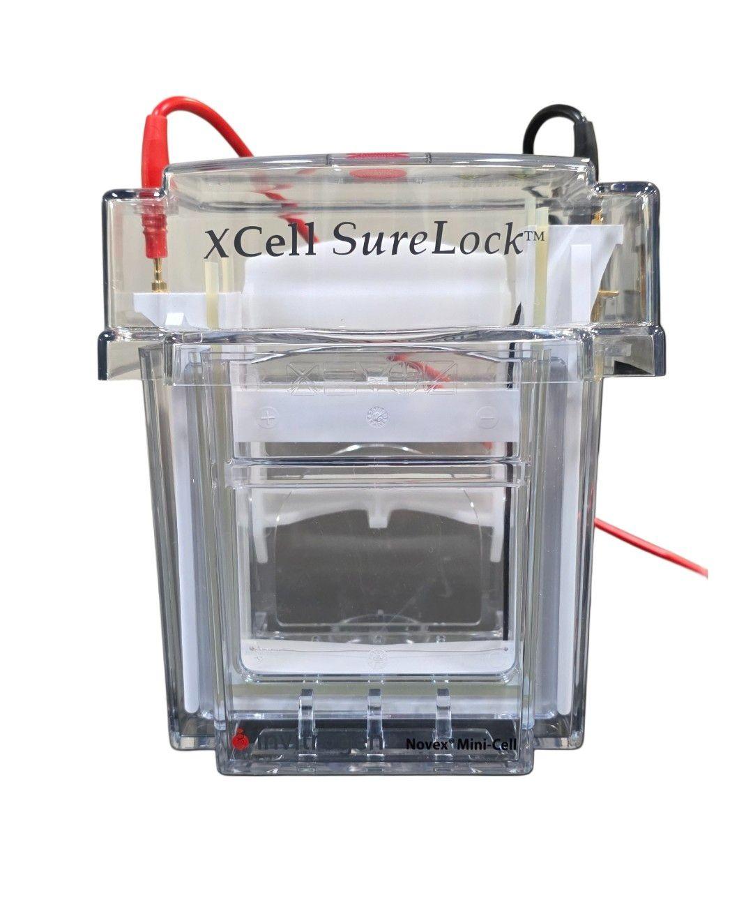 Invitrogen 500 Volts Electrophoresis Power Supply
