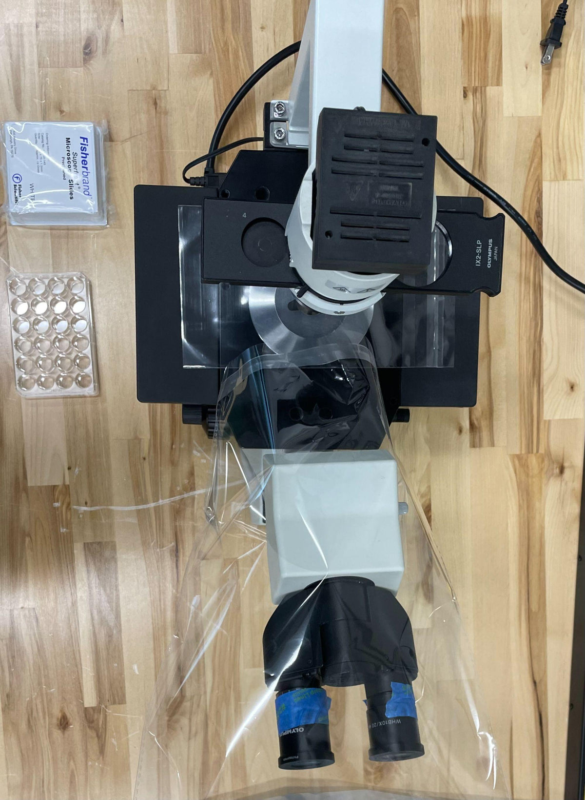 Olympus Inverted Phase Contrast Cell Culture Microscope CKX41