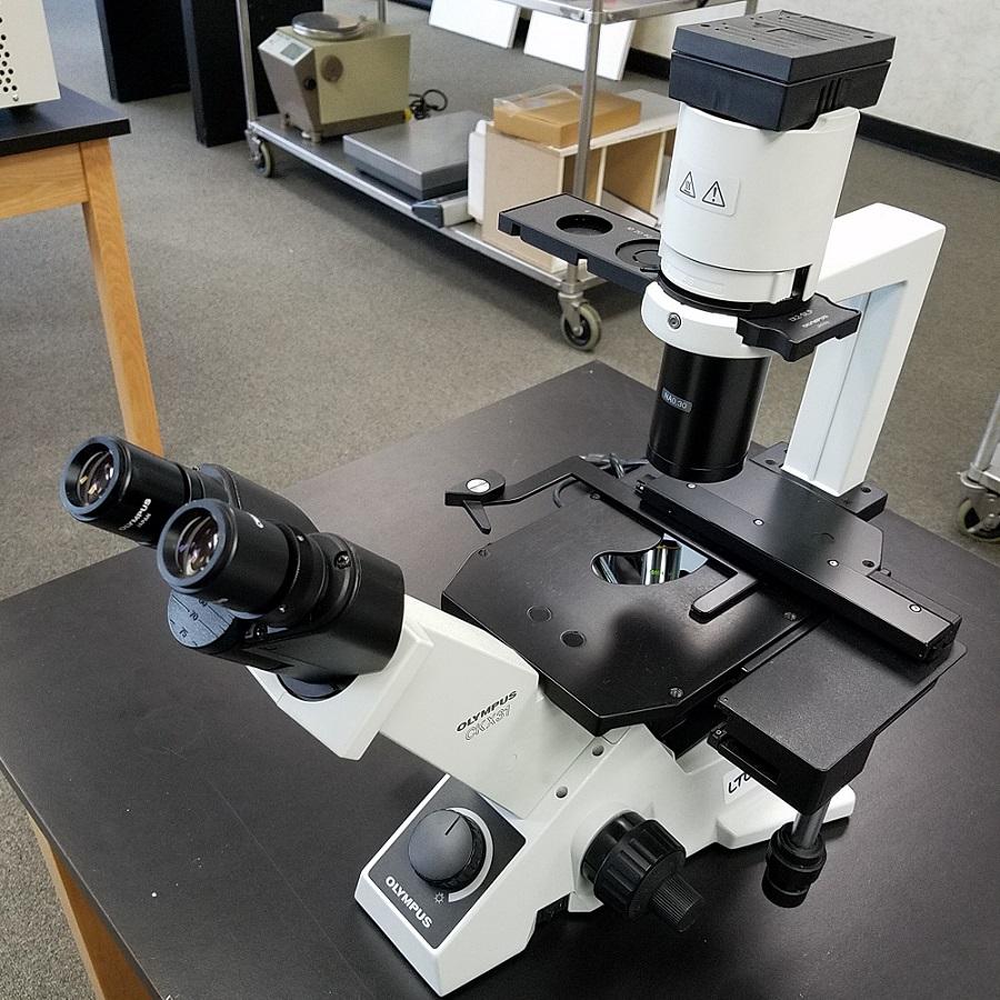 Olympus CKX41 Inverted Phase Binocular Microscope for Cell Imaging, 50W Mercury