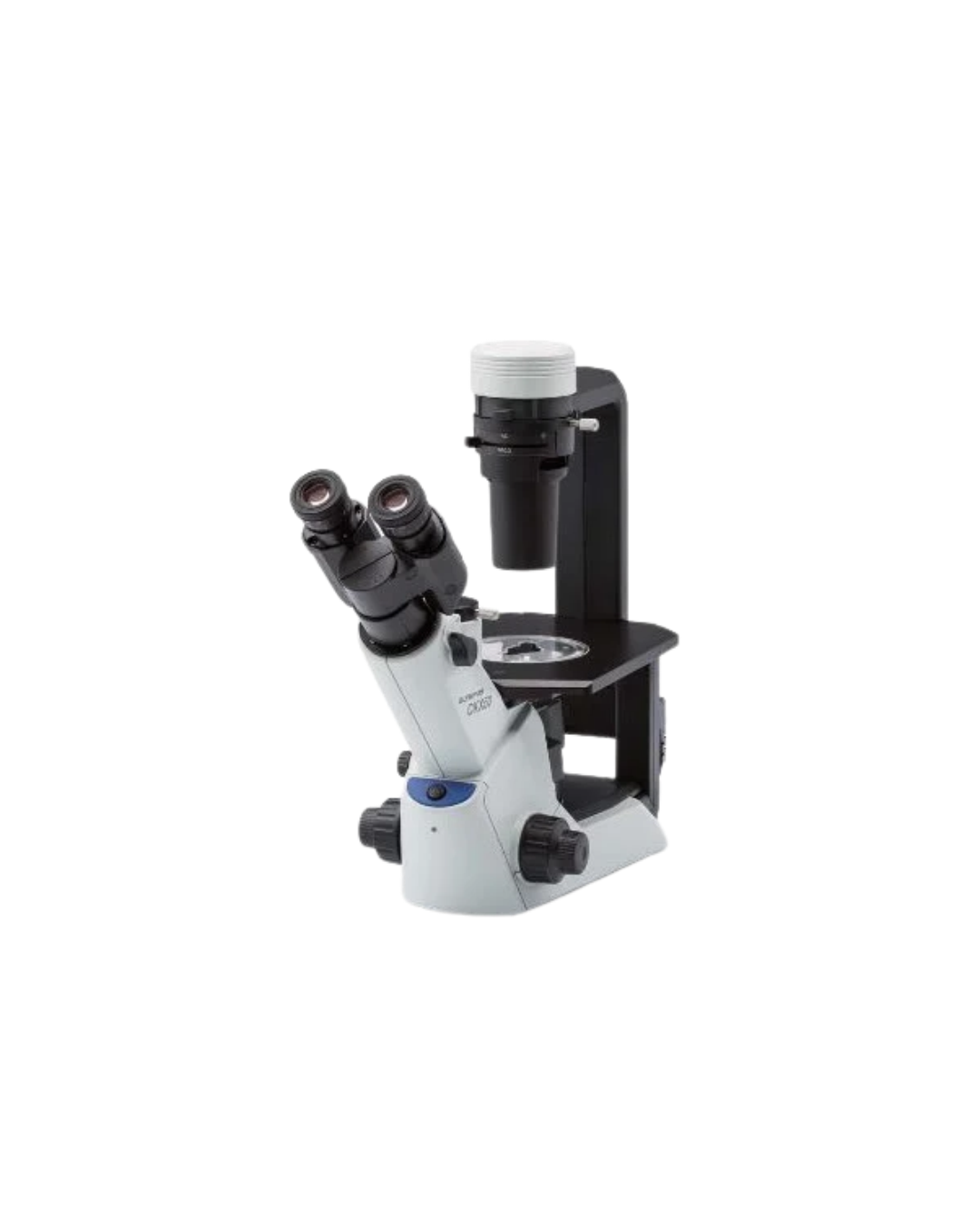Olympus Inverted Phase Contrast Microscope CKX53