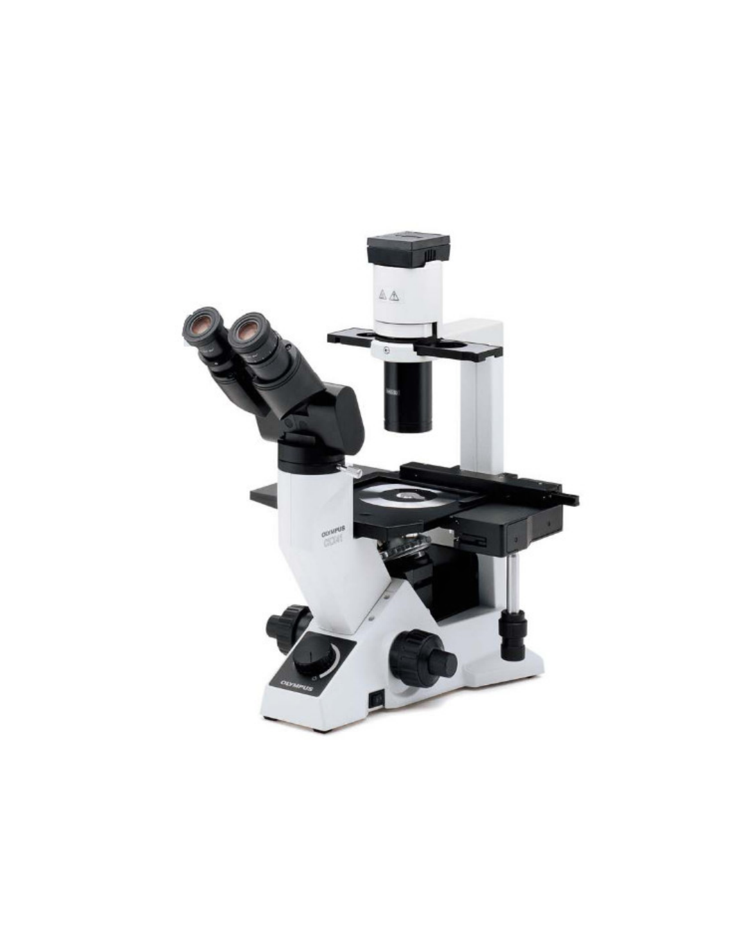 Olympus Inverted Phase Contrast Cell Culture Microscope CKX41